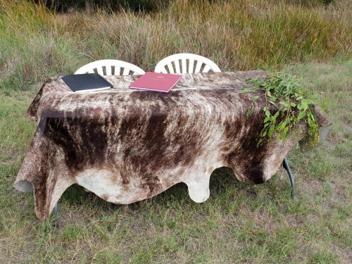 00w-20210301 151323-Stefanie-Jamie-Nambung-signing-table